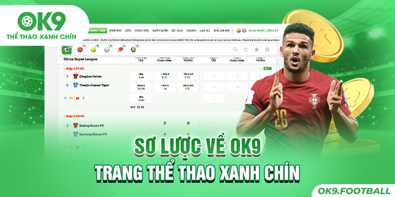 sơ lược về OK9