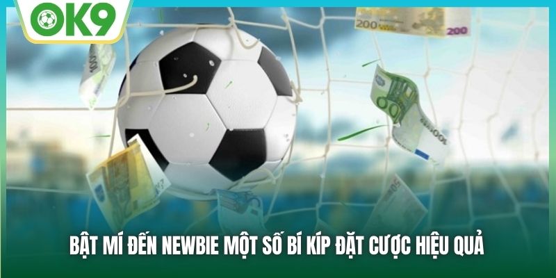 Bật mí đến newbie một số bí kíp đặt cược hiệu quả