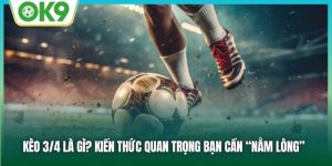 Kèo 3/4 Là Gì? Kiến Thức Quan Trọng Bạn Cần “Nằm Lòng”