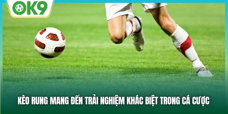 Kèo rung mang đến trải nghiệm khác biệt trong cá cược