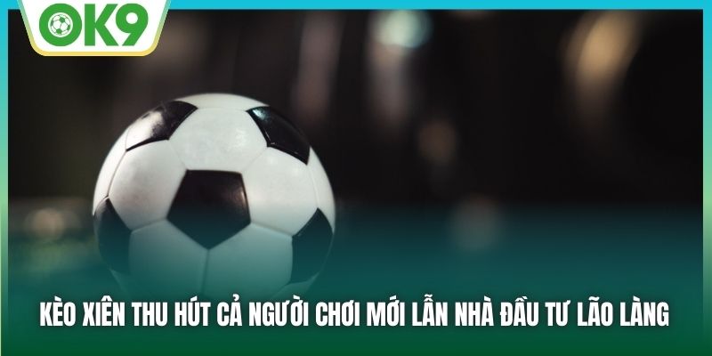 Kèo xiên thu hút cả người chơi mới lẫn nhà đầu tư lão làng