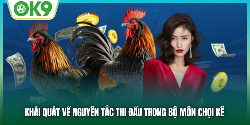 Khái quát về nguyên tắc thi đấu trong bộ môn chọi kê