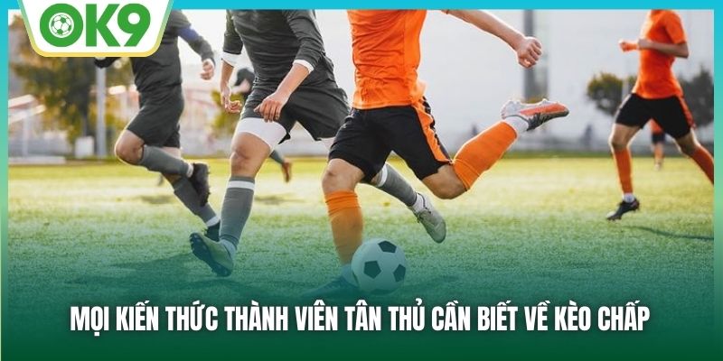 Mọi kiến thức thành viên tân thủ cần biết về kèo chấp